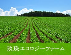 九州エコロジーファーム